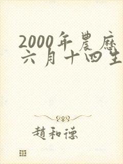 2000年农历六月十四生的女命