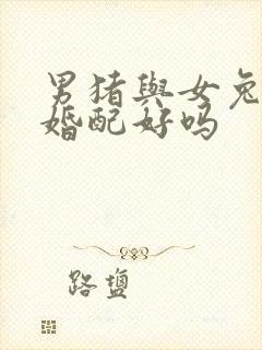 男猪与女兔属相婚配好吗