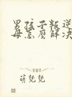 男孩子叛逆期父母怎么解决