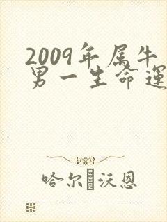 2009年属牛男一生命运怎么样封面