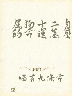 属狗十二月出生的命运怎么样