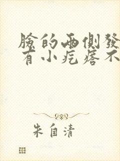 脸的两侧发红还有小疙瘩不痒