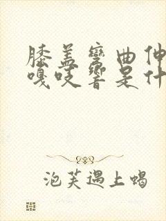 膝盖弯曲伸直时嘎吱响是什么原因封面