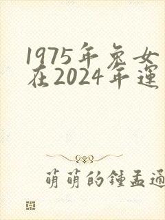 1975年兔女在2024年运气