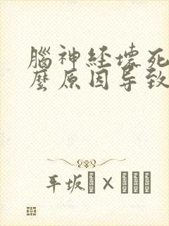 脑神经坏死是什么原因导致的