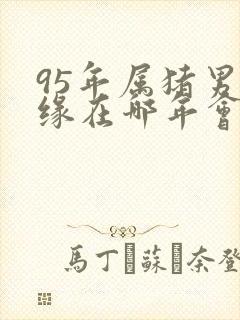 95年属猪男姻缘在哪年会结婚