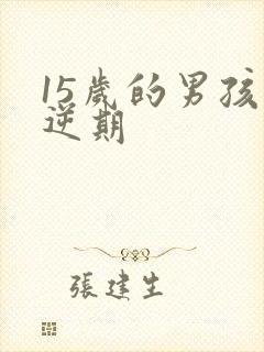 15岁的男孩叛逆期
