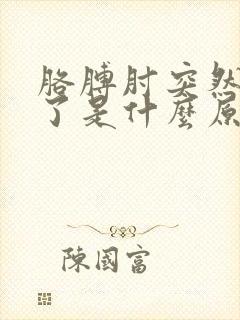 胳膊肘突然就疼了是什么原因封面