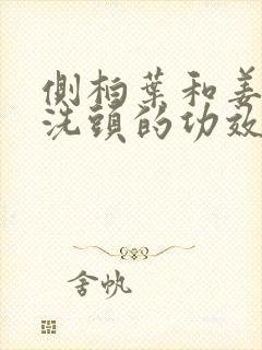 侧柏叶和姜煮水洗头的功效