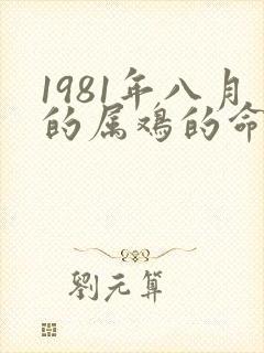 1981年八月的属鸡的命运