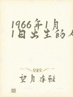 1966年1月1日出生的人命运