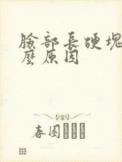 脸部长硬块痘什么原因