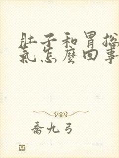 肚子和胃总是胀气怎么回事