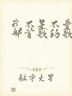 我不是不爱你是哪首歌的歌词