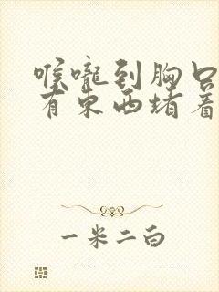 喉咙到胸口感觉有东西堵着,胸口闷疼