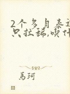 2个多月泰迪狗只拉稀,吃什么药