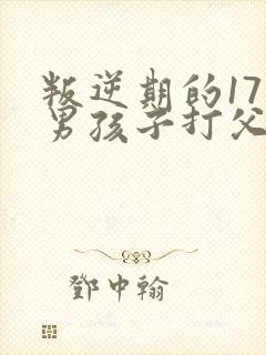 叛逆期的17岁男孩子打父母怎么办