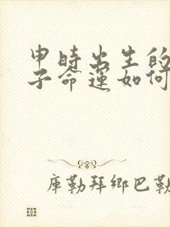 申时出生的男孩子命运如何