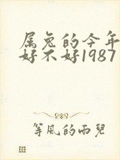 属兔的今年运气好不好1987年封面