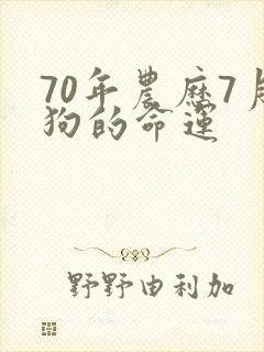 70年农历7月狗的命运封面