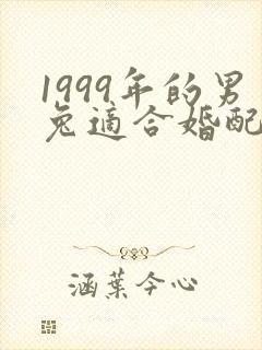 1999年的男兔适合婚配的属相