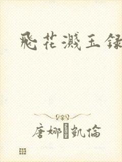飞花溅玉录