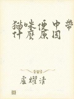 猫咪便中带血是什么原因