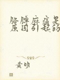 胳膊麻痛是什么原因引起的