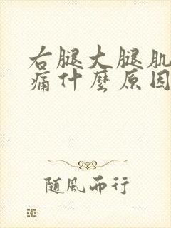 右腿大腿肌肉酸痛什么原因引起的封面