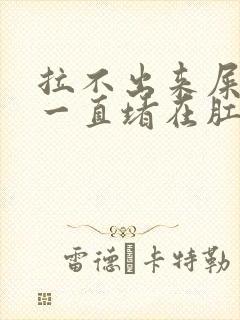 拉不出来屎感觉一直堵在肛门怎么办封面