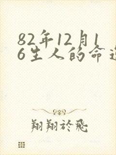 82年12月16生人的命运封面