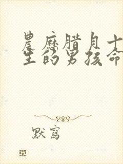 农历腊月十七出生的男孩命运