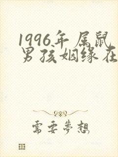 1996年属鼠男孩姻缘在哪一年