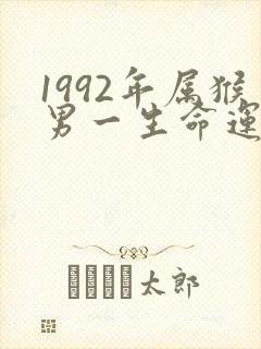 1992年属猴男一生命运婚姻