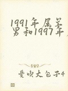 1991年属羊男和1997年属牛女婚配