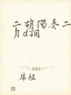 二胡独奏二泉映月d调封面