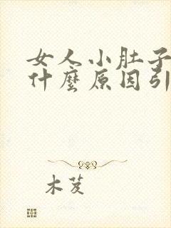 女人小肚子胀痛什么原因引起的