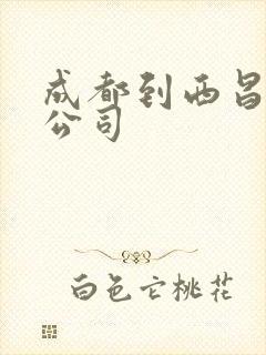 成都到西昌货运公司封面