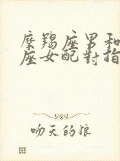 摩羯座男和双鱼座女配对指数