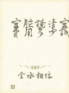 宫腔镜清宫手术费用多少钱封面