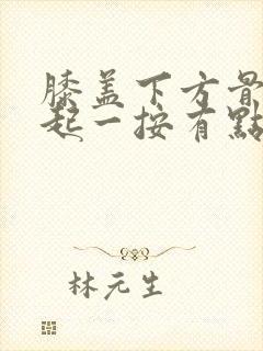 膝盖下方骨头凸起一按有点疼