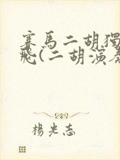 赛马二胡独奏宋飞(二胡演奏家)