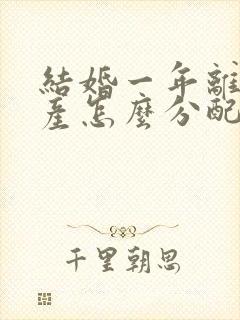 结婚一年离婚财产怎么分配