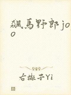 飙马野郎jojo