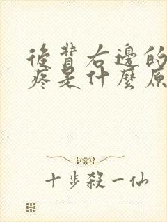 后背右边的肋骨疼是什么原因