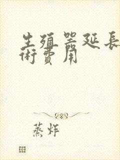 生殖器延长的手术费用