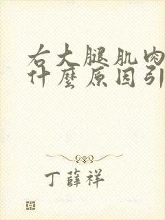 右大腿肌肉酸痛什么原因引起的