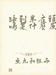 睡到半夜头晕耳鸣是什么原因