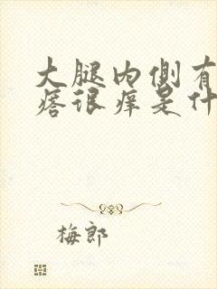 大腿内侧有红疙瘩很痒是什么引起的