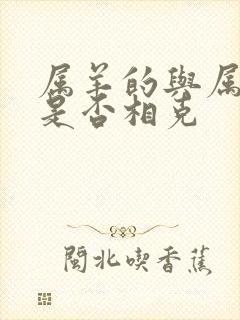 属羊的与属马的是否相克